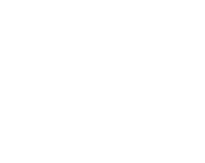 Primary Homecare Logo